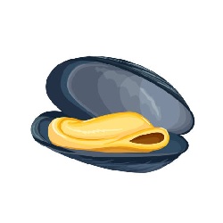 Knights Have Mussels!